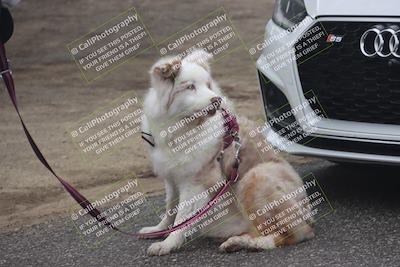 media/Jan-17-2026-VARA University (Sat) [[0e7bc3e19f]]/Around the Pits/